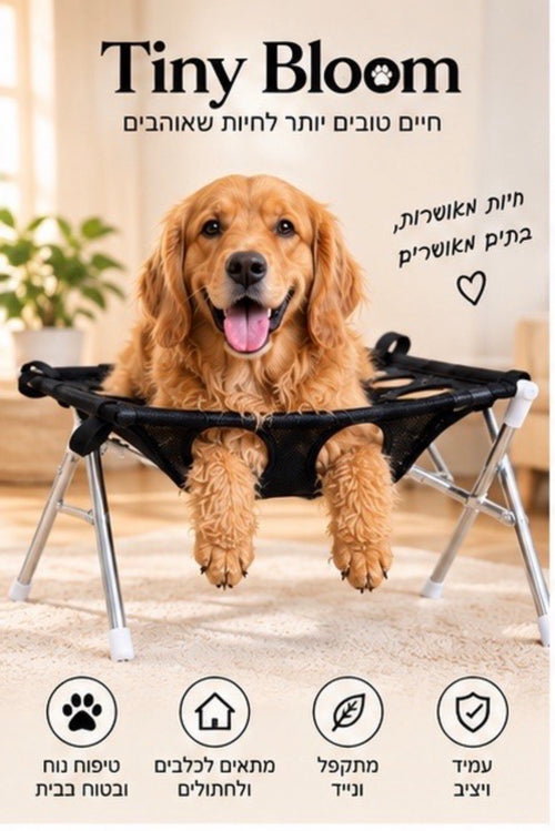 בלום™ תחנת הטיפוח הביתית לכלבים וחתולים