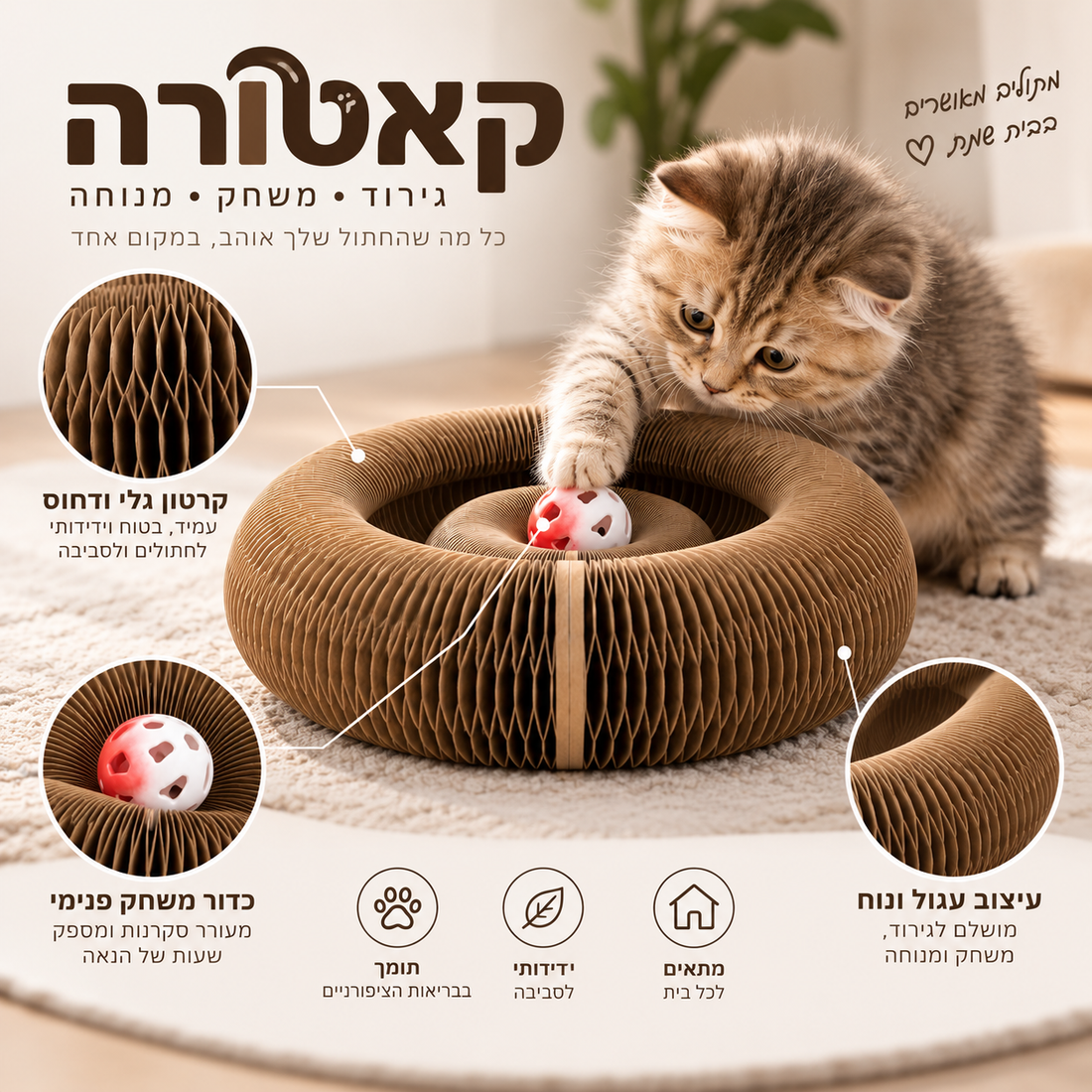 קאטורה, מבט נוסף על הטבעת